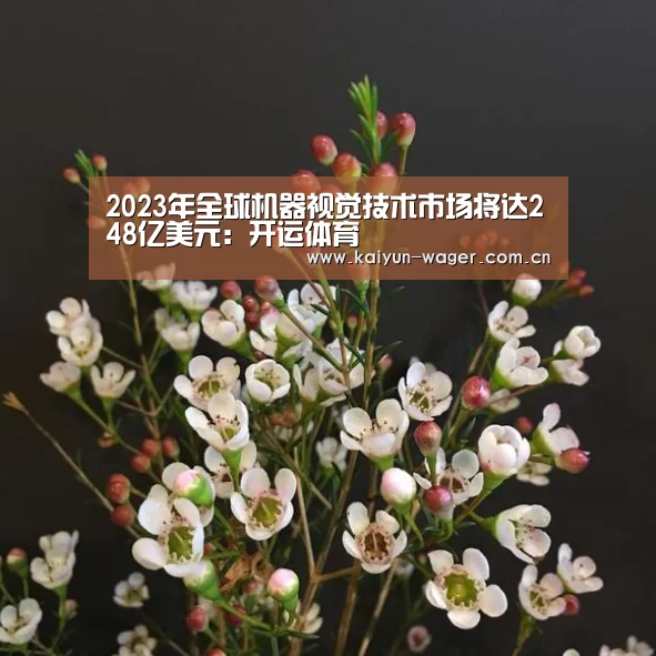 2023年全球机器视觉技术市场将达248亿美元:开运体育(图1) 开运体育官网